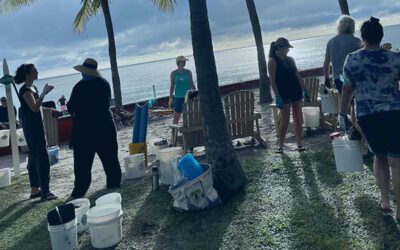 Volunteerism Spotlight: Key Biscayne Beach Cleanup